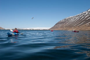 The serene waters of the Westfjords in summer, as seen from Ísafjörður.
