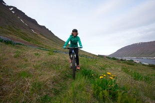 En person cykler hen mod kameraet i vestfjordene omkring Isafjordur.