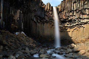Svartifoss ist ein atemberaubender Wasserfall im Naturschutzgebiet Skaftafell.