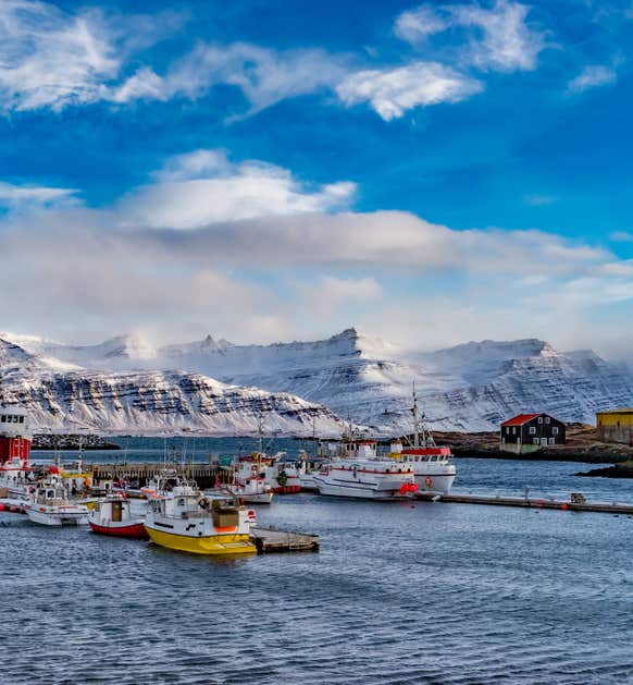 Hotels in Djupivogur