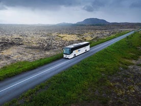Traslado en Flybus del Aeropuerto Internacional Keflavik a Ciudad de Reikiavik