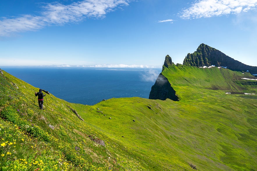 Hornstrandir est une réserve naturelle vierge dans les Fjords de l'Ouest de l'Islande