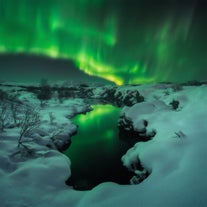 El Tour de Auroras Boreales en Autobús desde Reikiavik