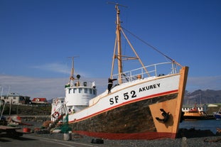 Auf dieser zweistündigen Wanderung im Südosten Islands erfahren die Teilnehmer etwas über die Fischereigeschichte von Höfn.
