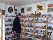 Petra’s Stone and Mineral Collection