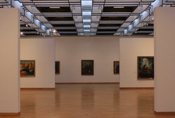 Guía de Viaje a Museo de Arte Kjarvalsstadir